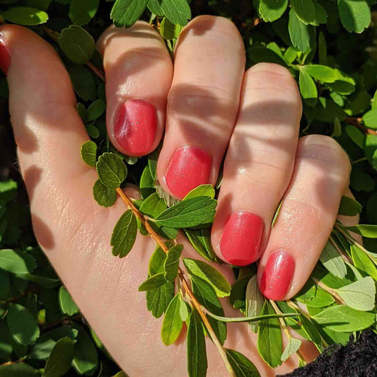 0110 Watermelon Freeze - BIOGEL BIOGEL BIOGEL Gelsystem Hergestellt in SüdafrikaBIOGEL by Bio Sculpture Bio Sculpture