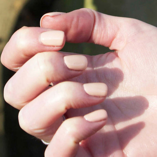 2003 Nude - BIOGEL BIOGEL BIOGEL Gelsystem Hergestellt in SüdafrikaBIOGEL by Bio Sculpture Bio Sculpture