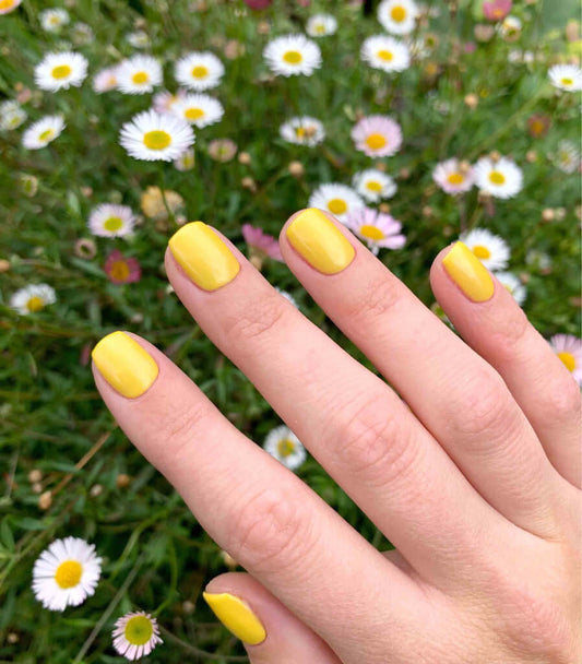 2030 Daffodil - BIOGEL BIOGEL BIOGEL Gelsystem Hergestellt in SüdafrikaBIOGEL by Bio Sculpture Bio Sculpture