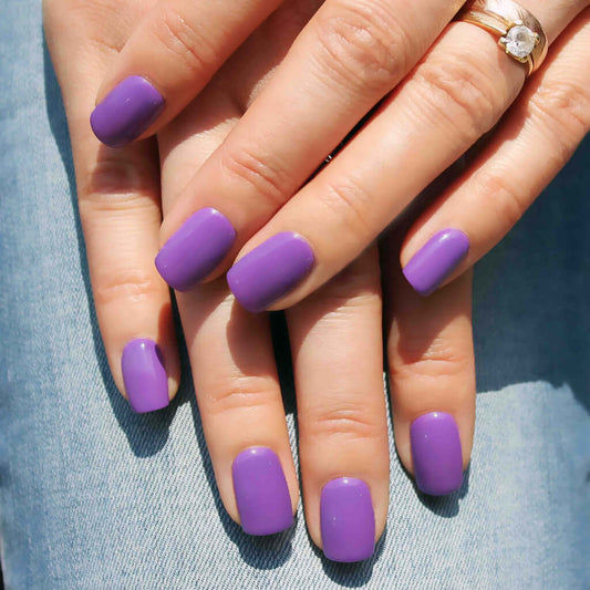 0083 Anelda – EVO Colour Gel Produktansicht