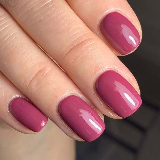 0129 Aseel – EVO Colour Gel Produktansicht