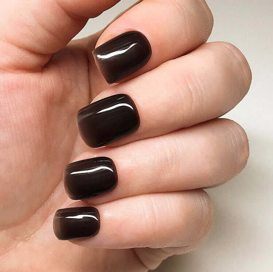 0106 Beaula – EVO Colour Gel Produktansicht