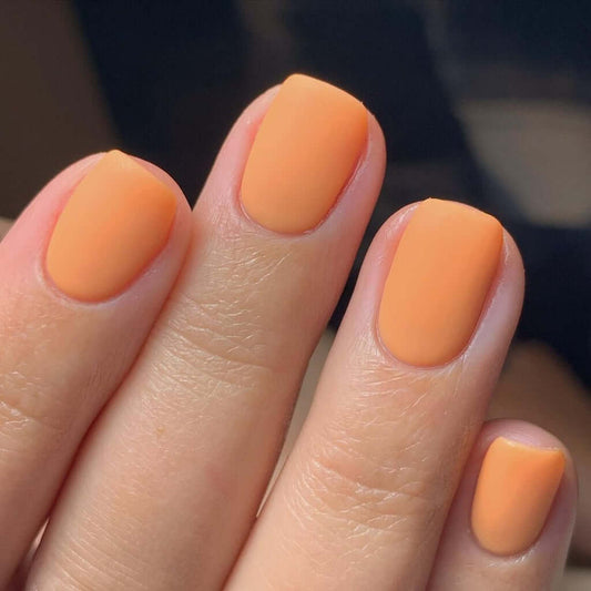 0045 Bianca – EVO Colour Gel Produktansicht