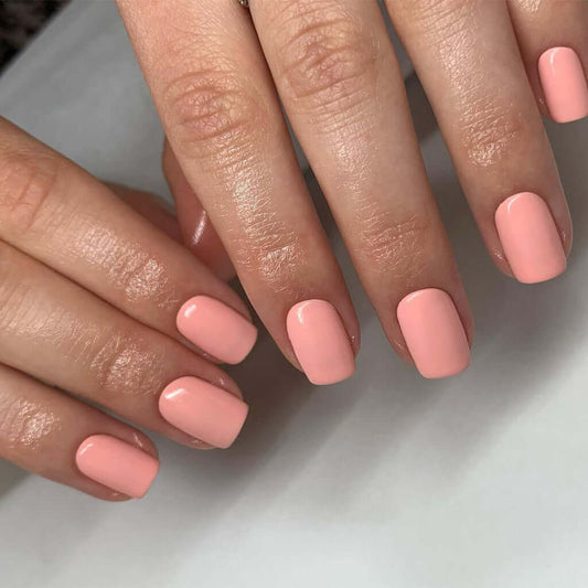 0135 CLARA – EVO Colour Gel Produktansicht