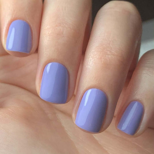 0081 Cynthia – EVO Colour Gel Produktansicht