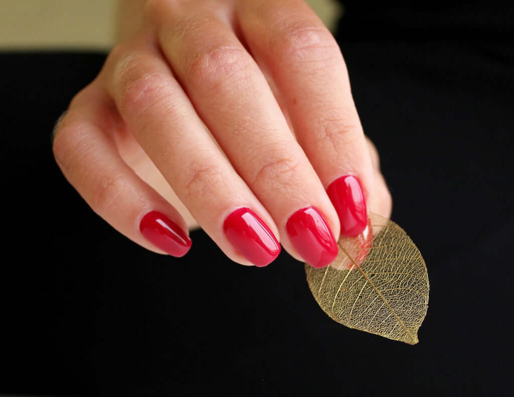 0211 Wild At Heart - BIOGEL BIOGEL BIOGEL Gelsystem Hergestellt in SüdafrikaBIOGEL by Bio Sculpture Bio Sculpture