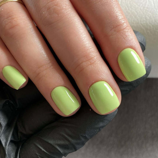 0111 Lana – EVO Colour Gel Produktansicht