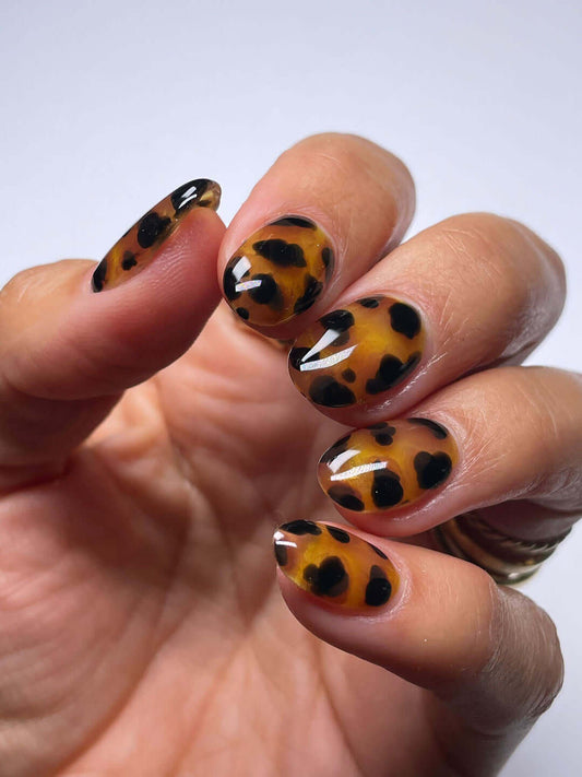 0160 MICHELLE H – EVO Colour Gel Produktansicht