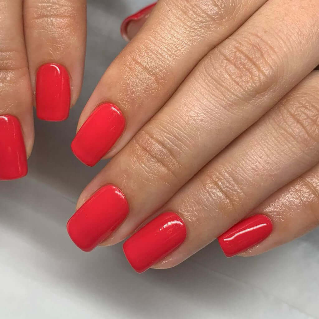 0096 Summer Holiday - BIOGEL BIOGEL BIOGEL Gelsystem Hergestellt in SüdafrikaBIOGEL by Bio Sculpture Bio Sculpture