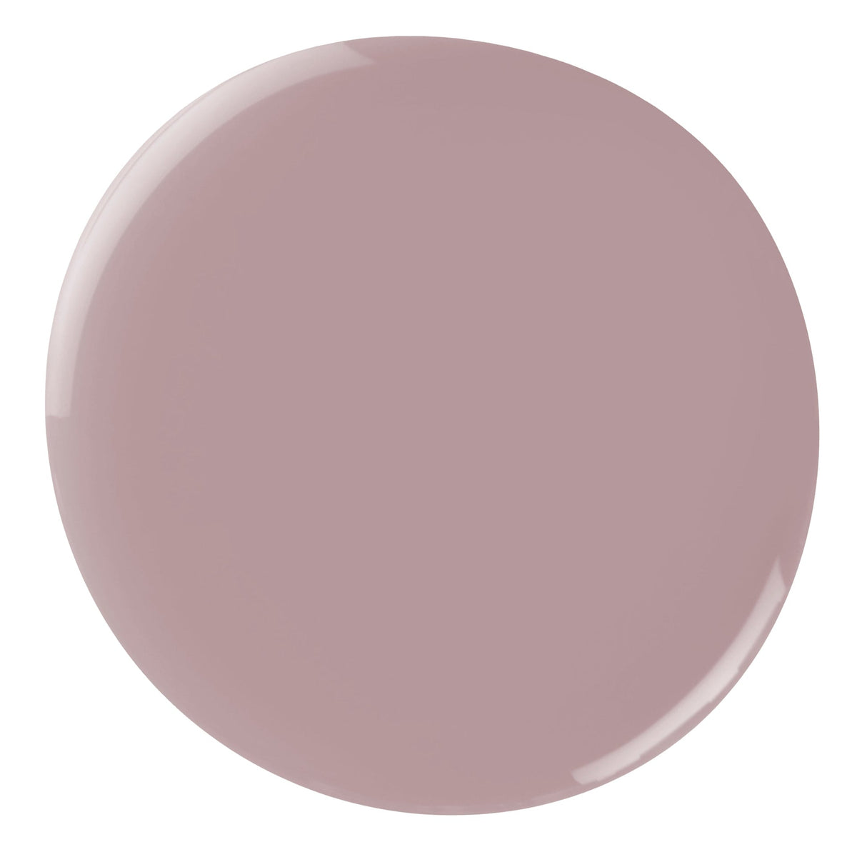 Athena Nail Polish – Farbwirkung auf lackierten Nägeln; Farbton ein gedecktes Violettgrau mit weichem, pudrigem Unterton