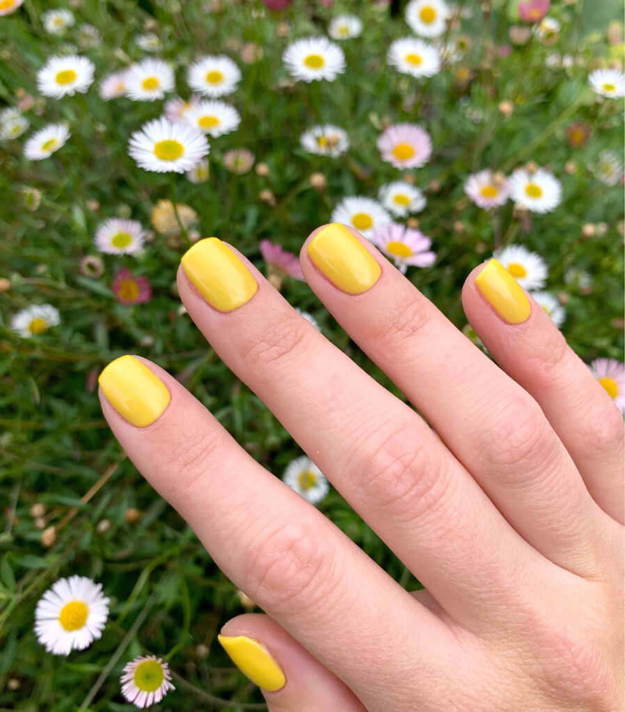 2030 Daffodil - BIOGEL 2030 Daffodil - BIOGEL Bio Sculpture