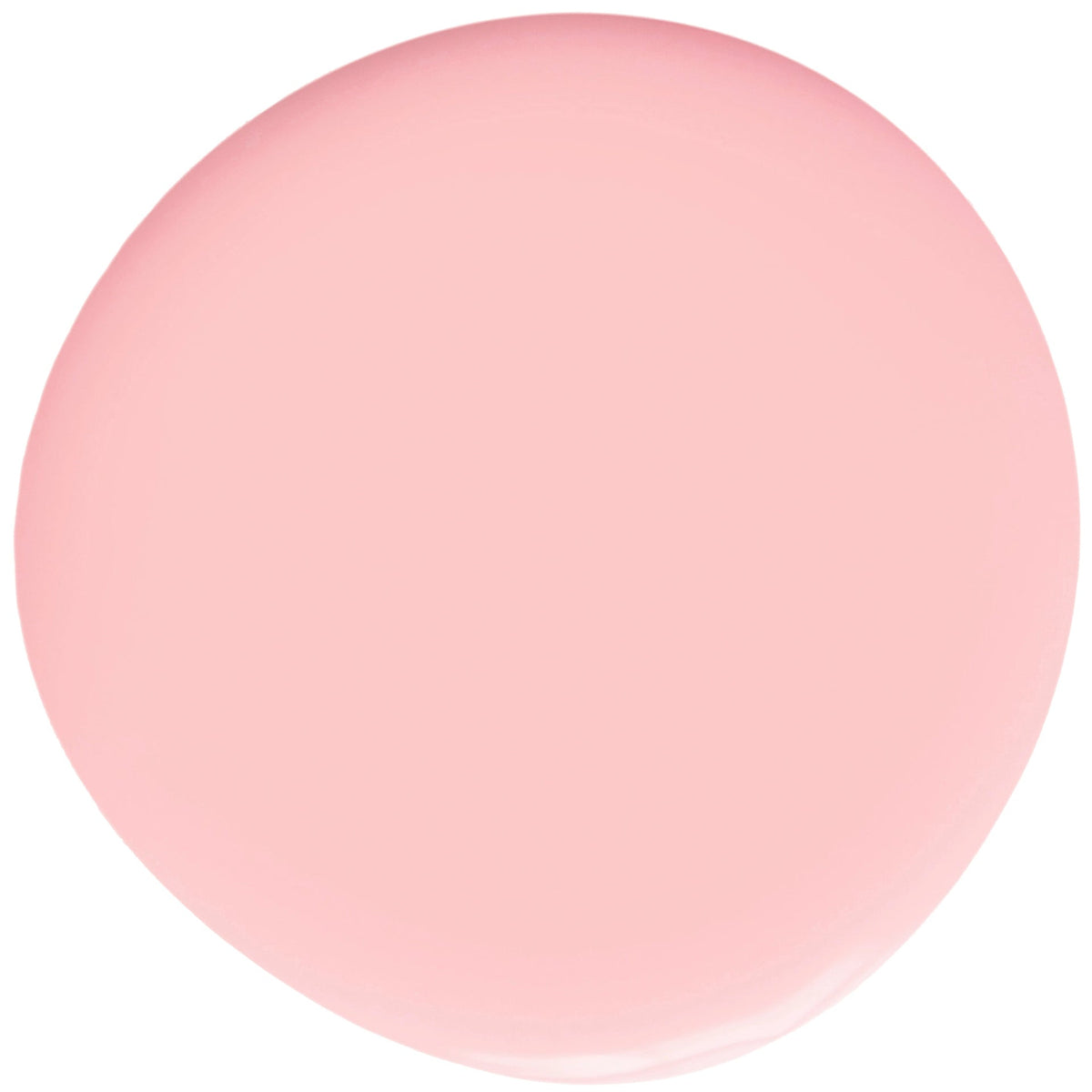 079 Bella – Farbfläche
